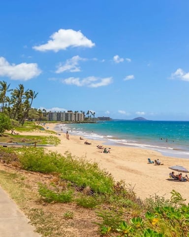 Sandy beach with palm trees, beachgoers, turquoise ocean, and resort buildings under blue sky