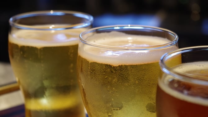 Best Breweries in Seattle for Beer Lovers
