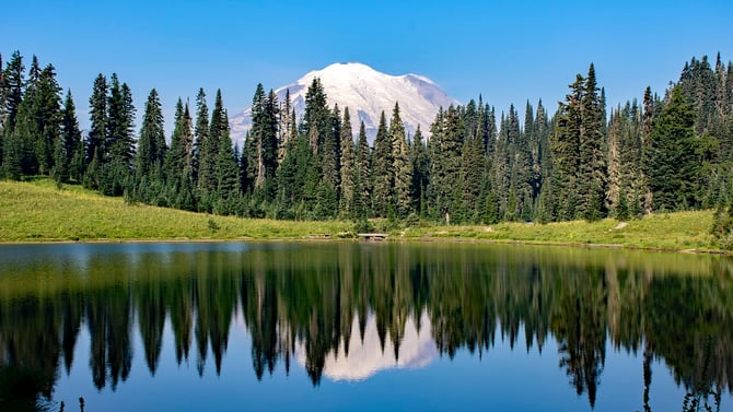 Mount Rainier Day Trip from Seattle