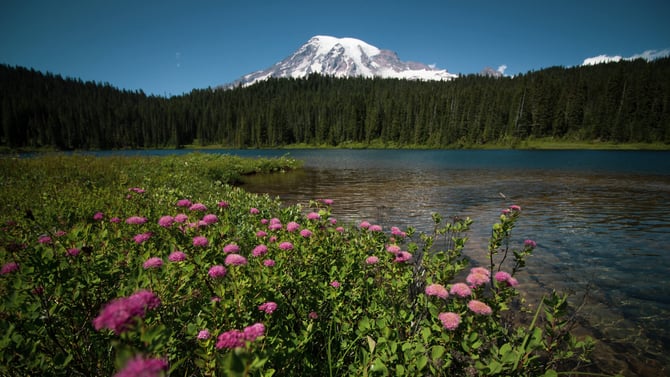 Mt. Rainier Cabins & Vacation Rentals