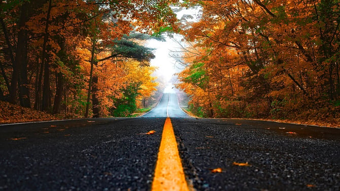 Top 3 Fall Drives in Washington